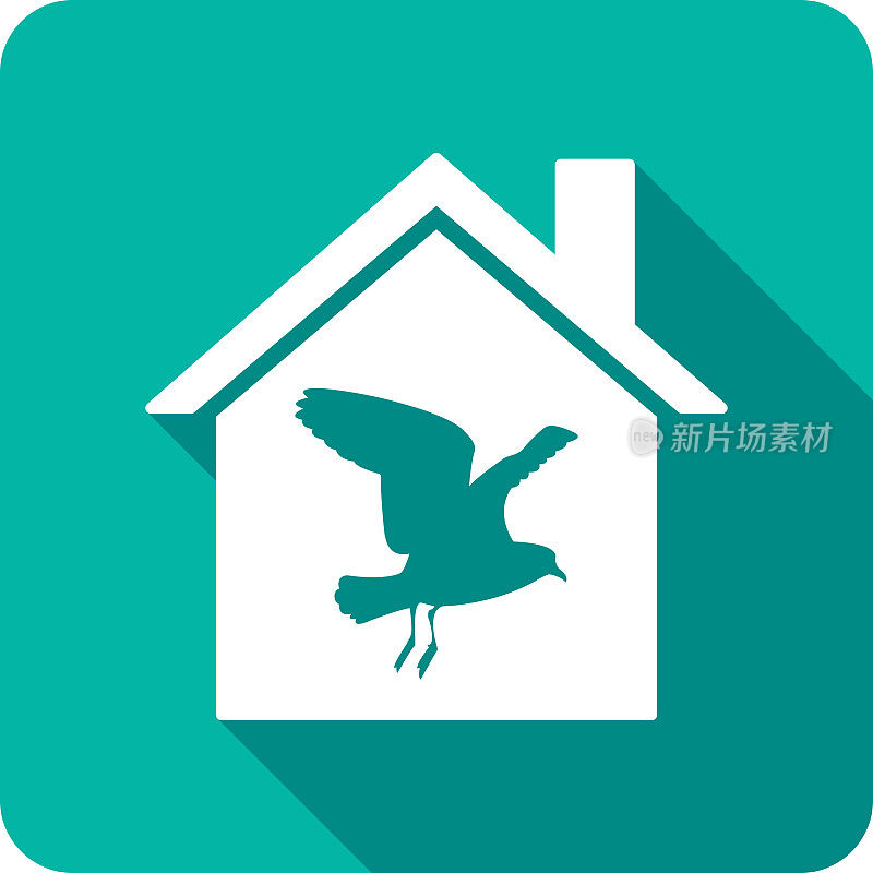 House Seagull图标剪影